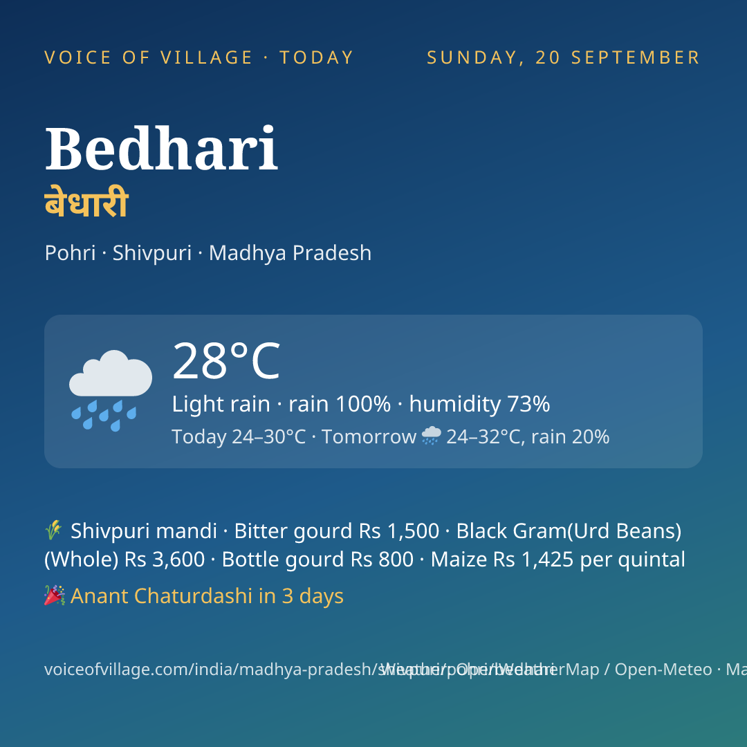 Bedhari today