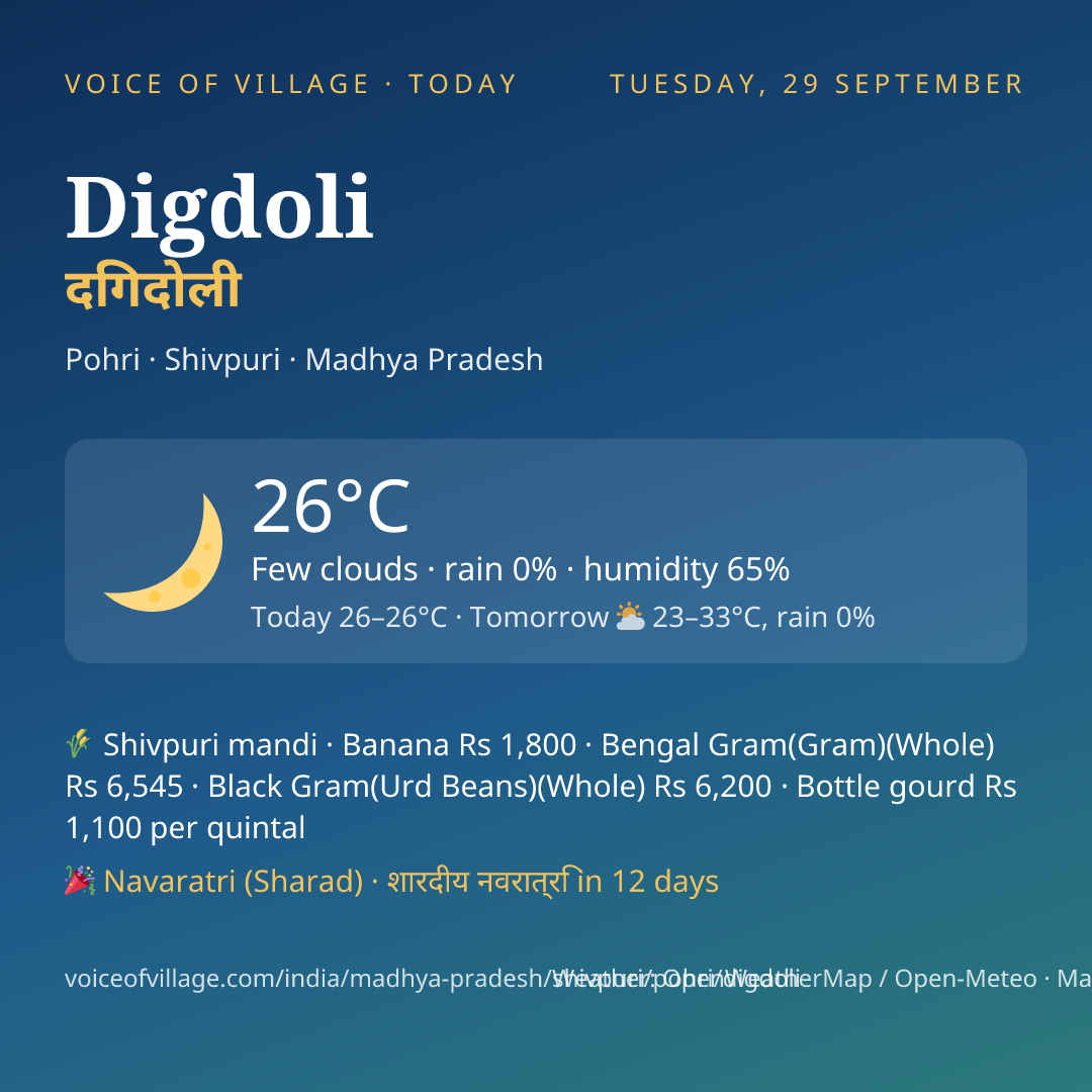 Digdoli today