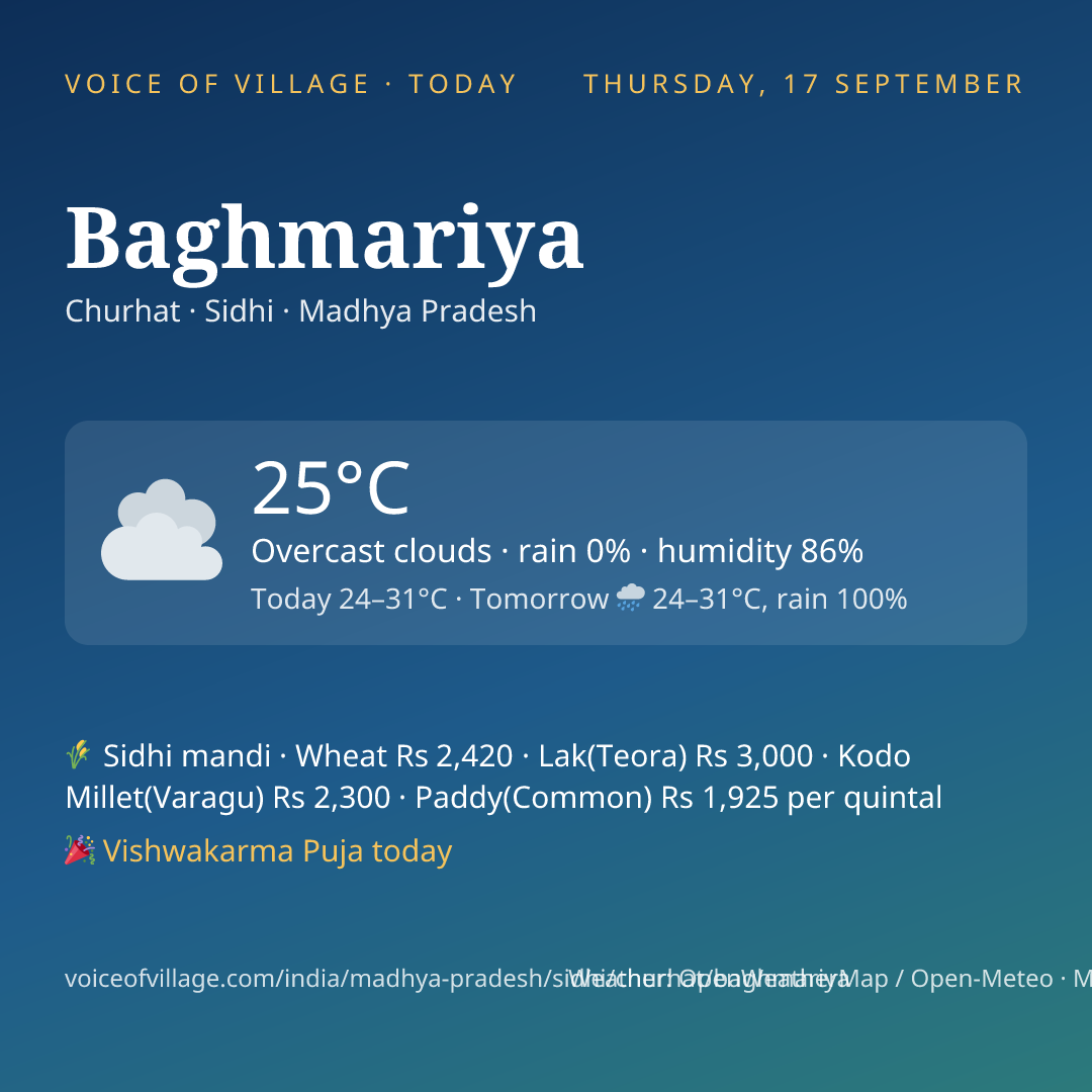 Baghmariya today