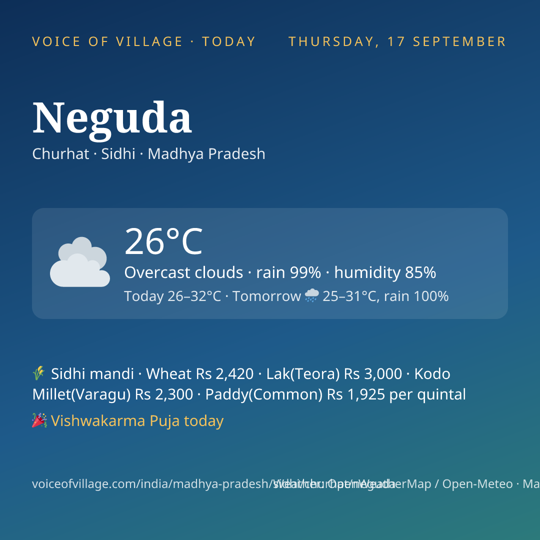 Neguda today