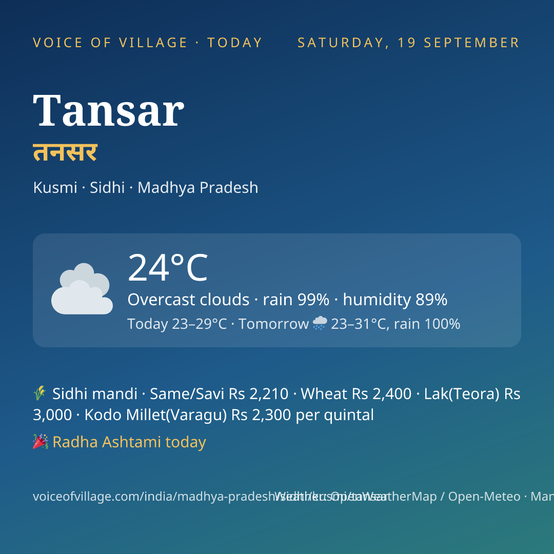 Tansar today