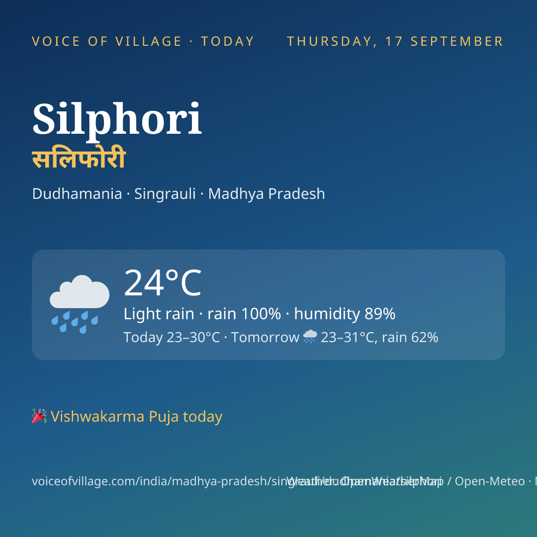Silphori today