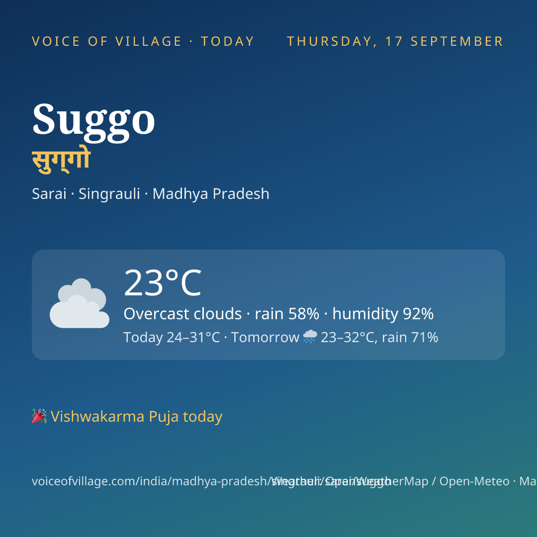 Suggo today