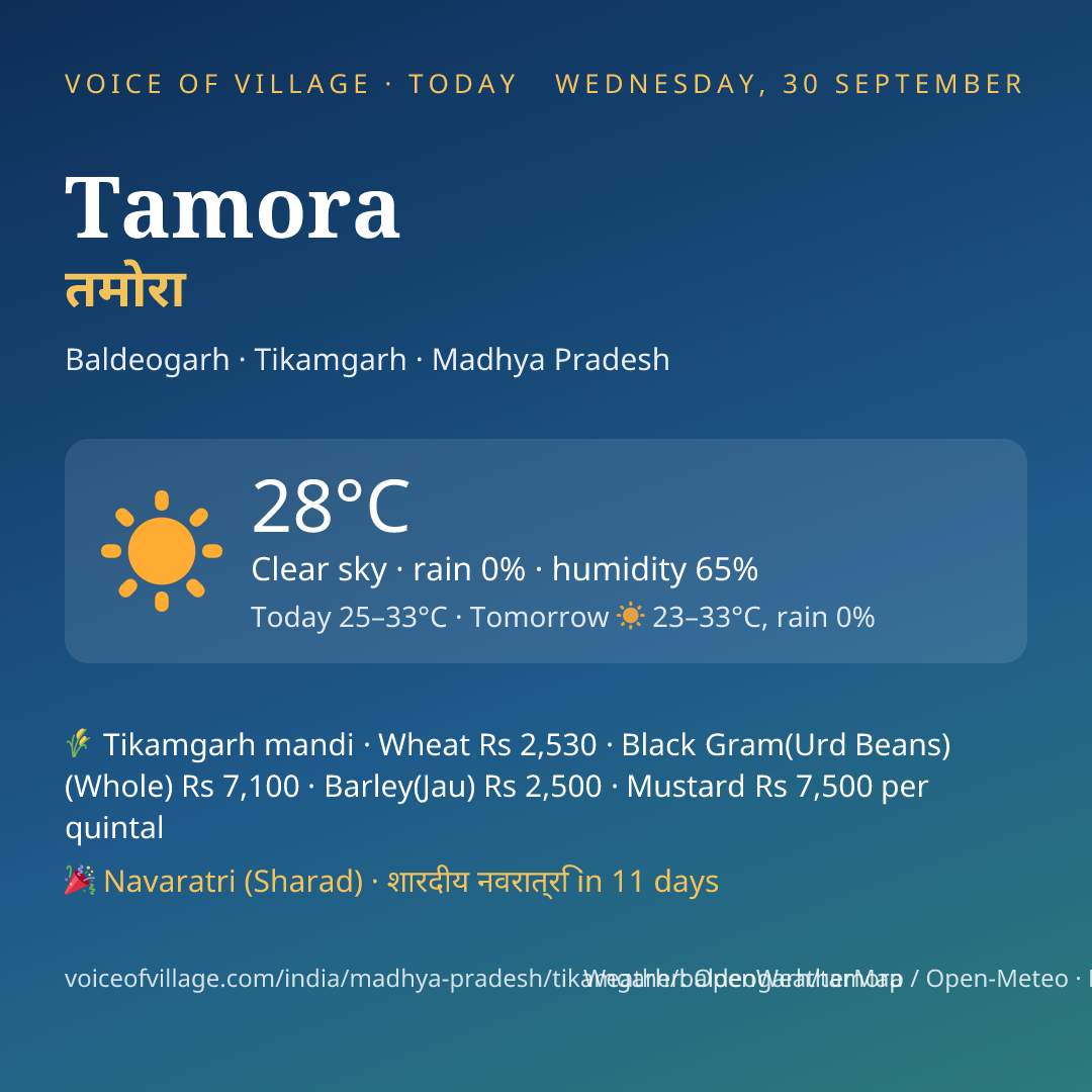 Tamora today