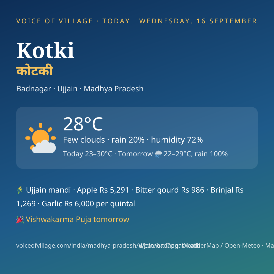 Kotki today