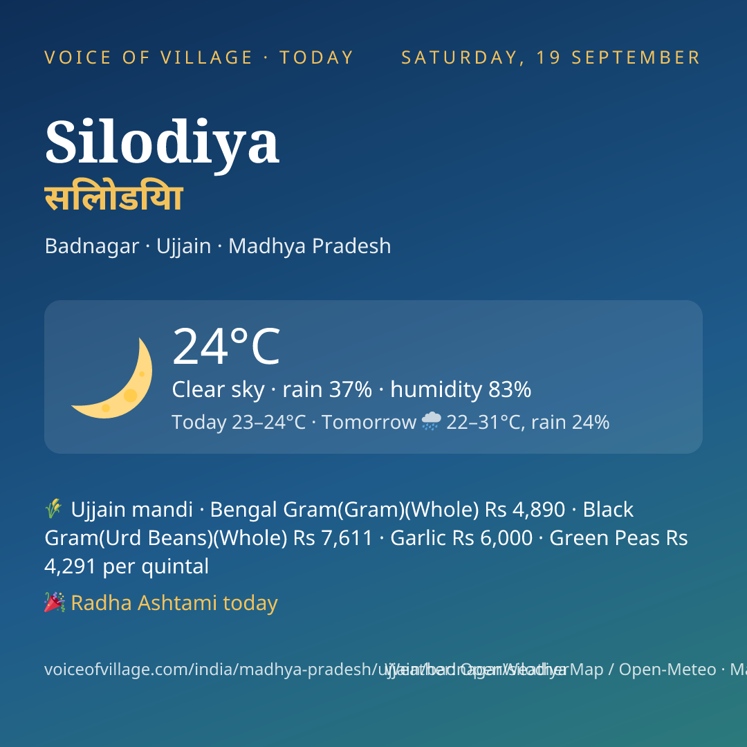 Silodiya today