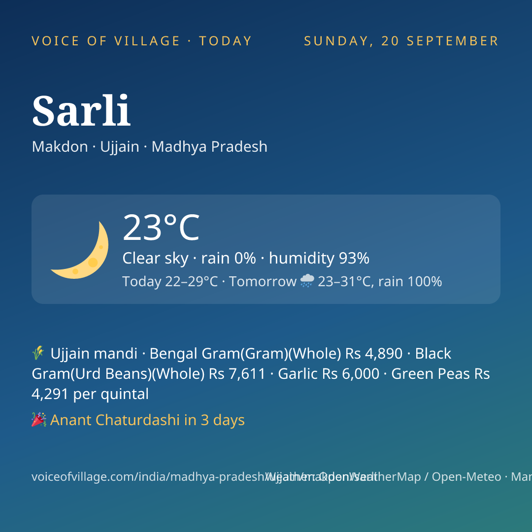 Sarli today