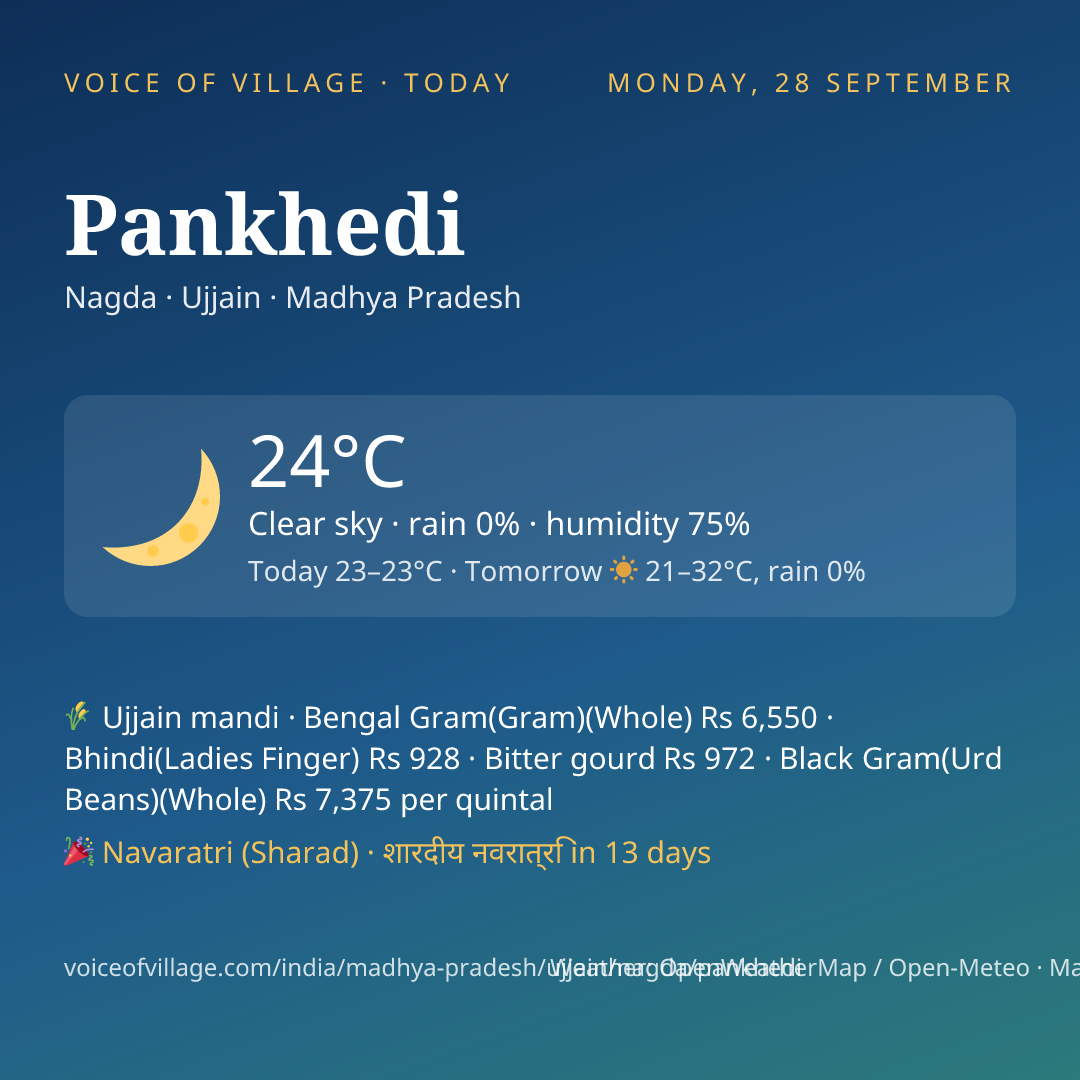 Pankhedi today