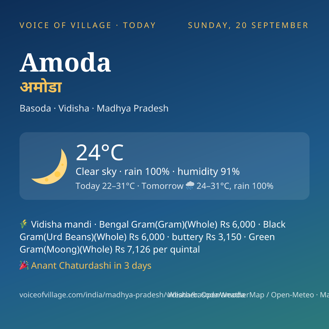 Amoda today