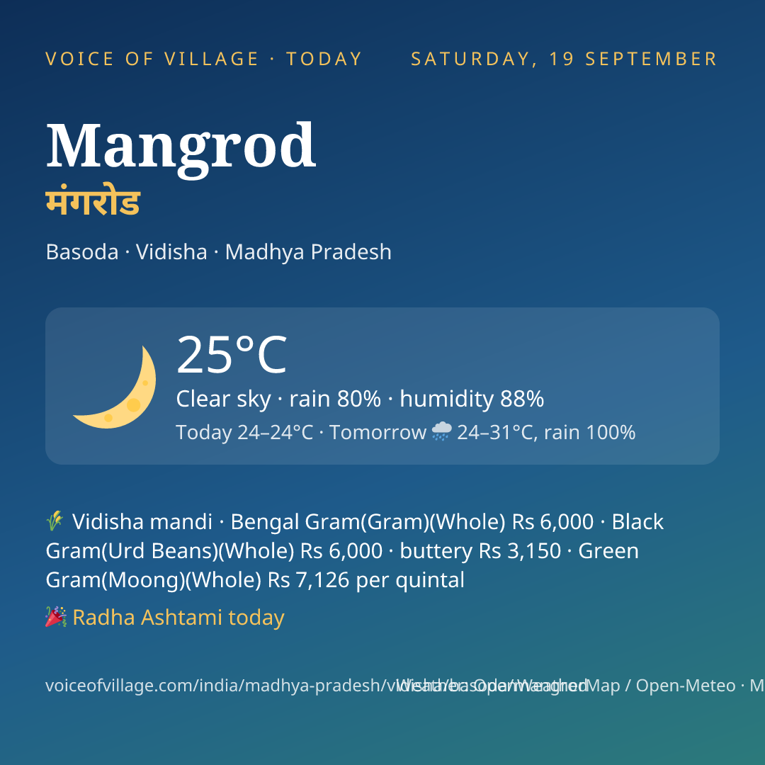 Mangrod today