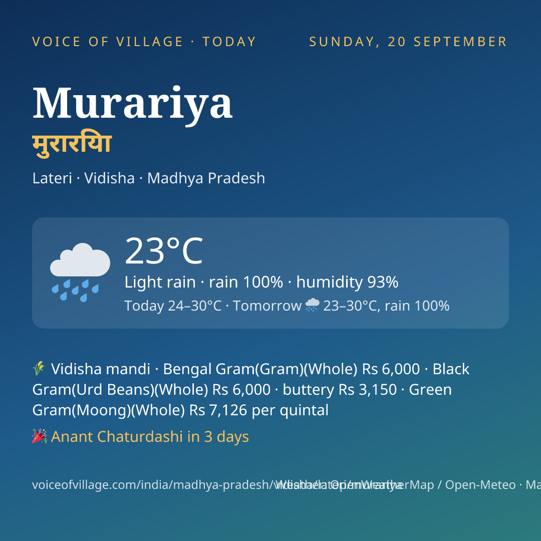 Murariya today