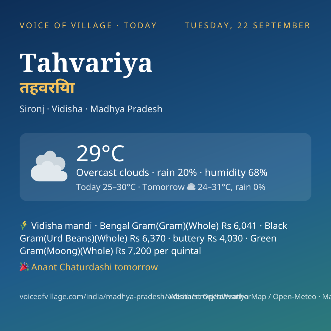 Tahvariya today