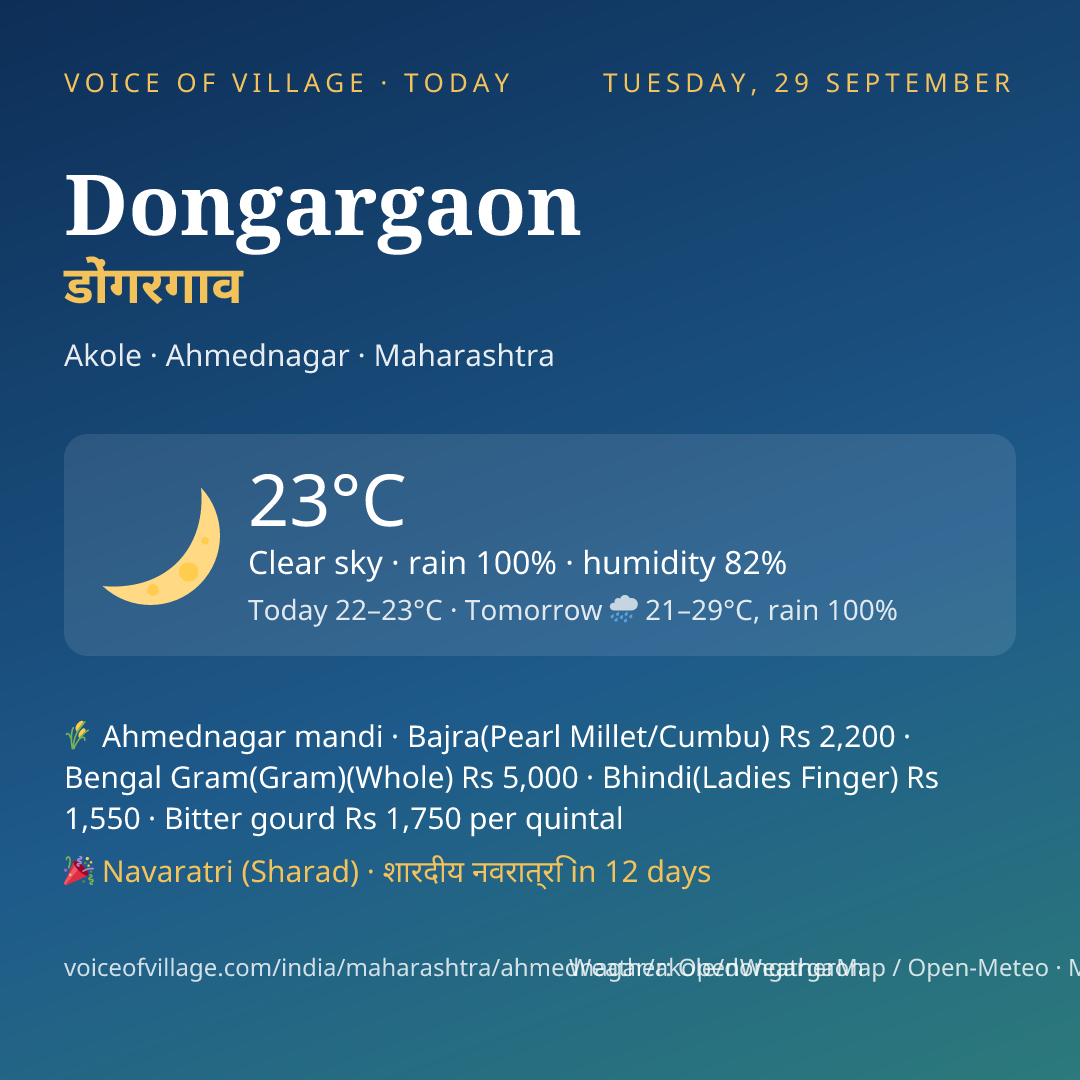 Dongargaon today