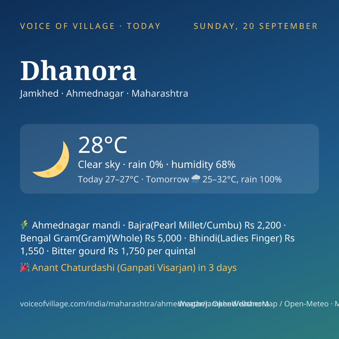 Dhanora today
