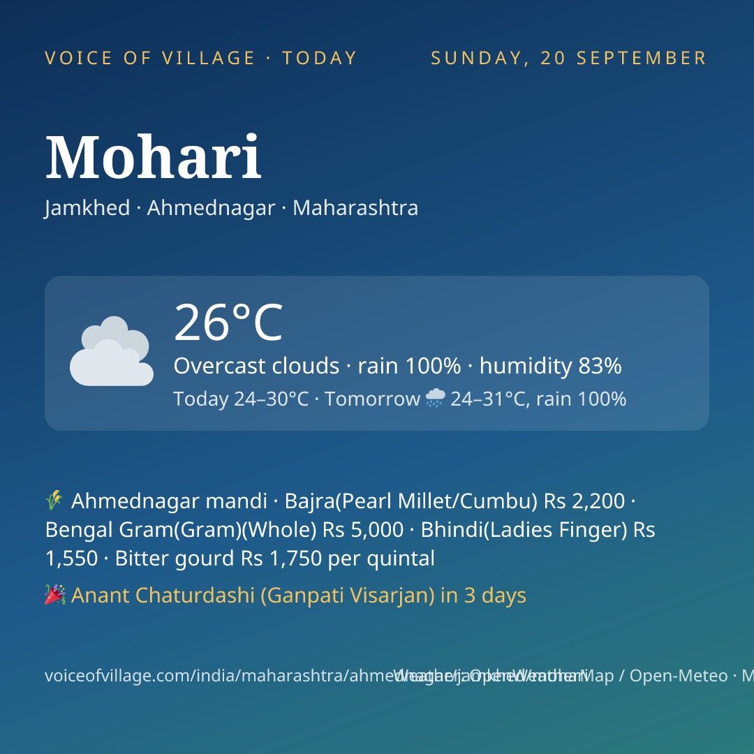 Mohari today