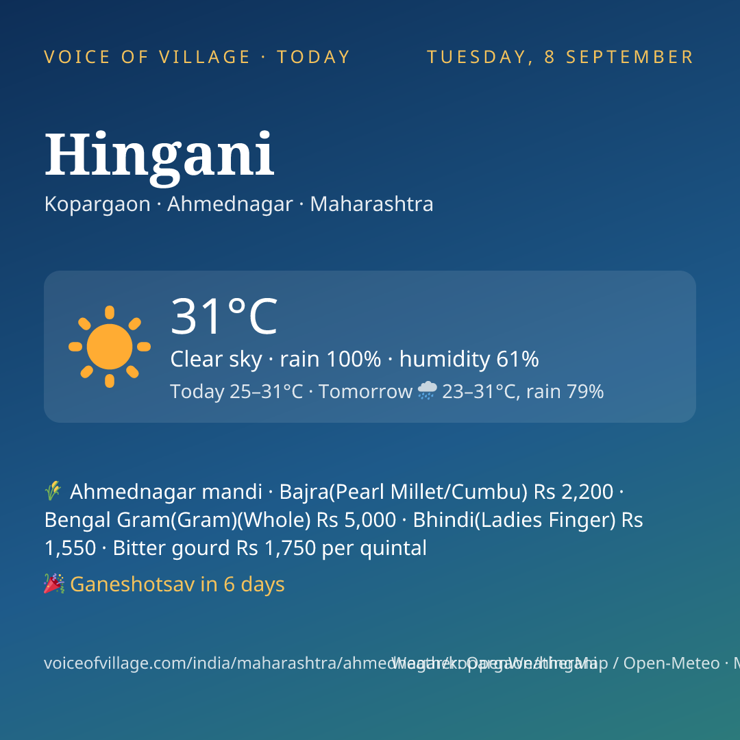 Hingani today