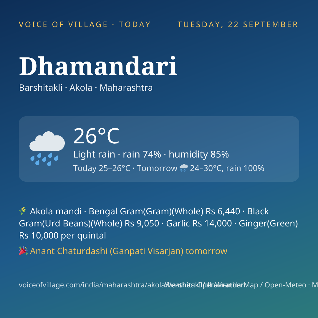 Dhamandari today