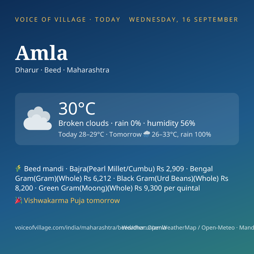 Amla today