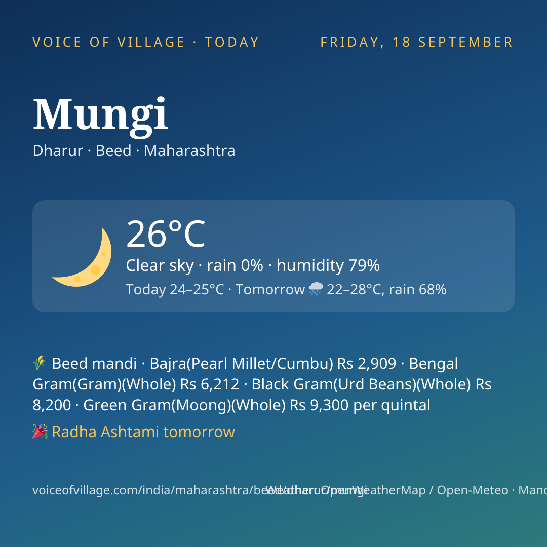 Mungi today