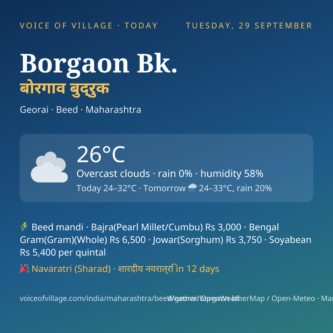 Borgaon Bk. today