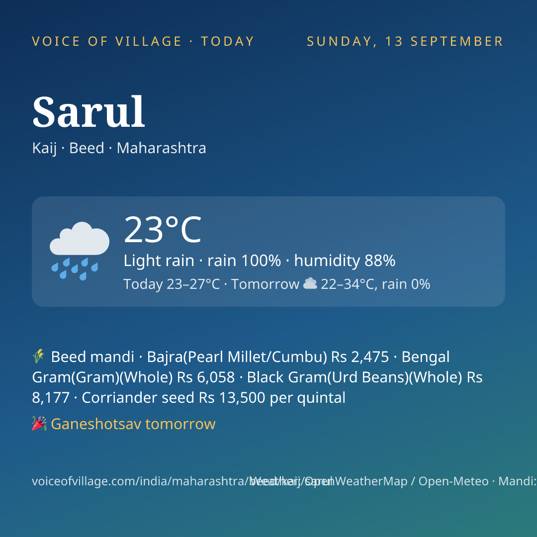 Sarul today