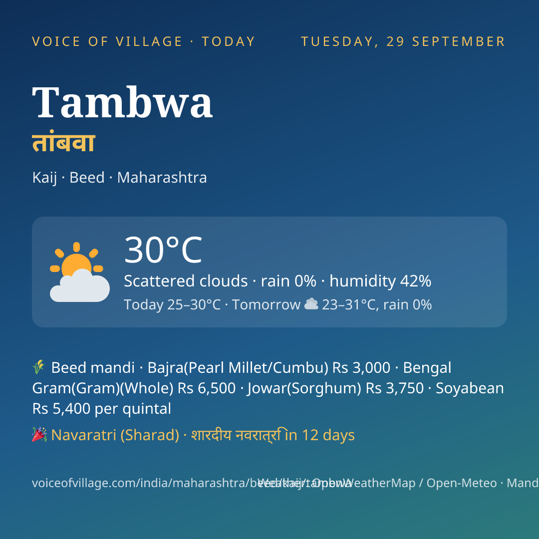 Tambwa today