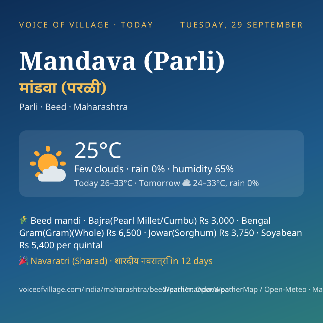 Mandava (Parli) today