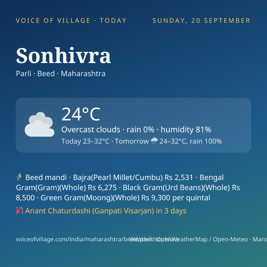Sonhivra today
