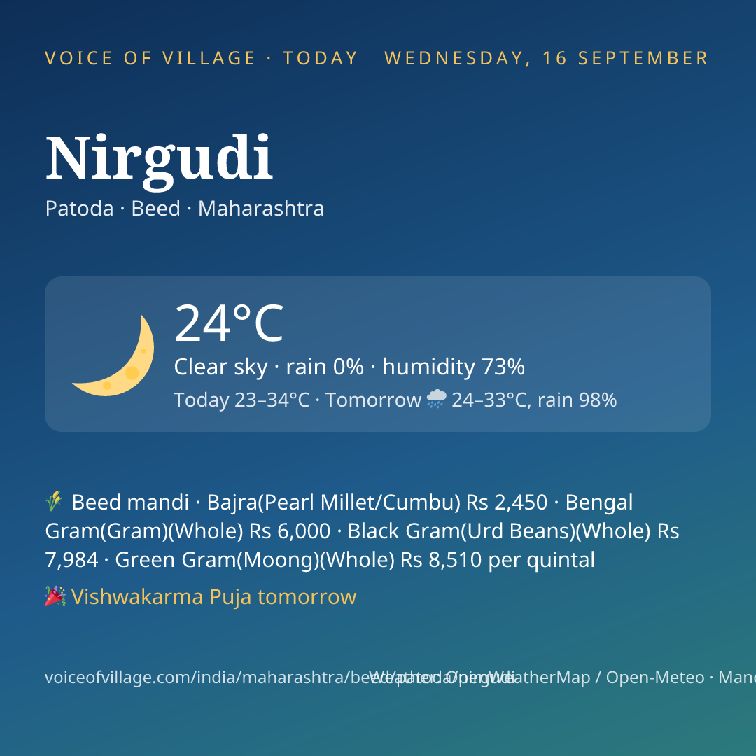 Nirgudi today