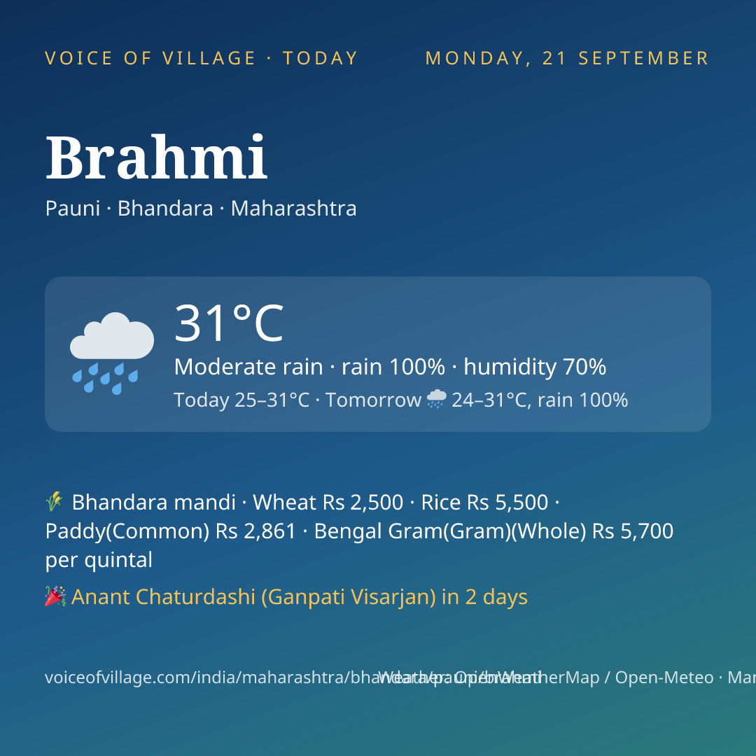 Brahmi today