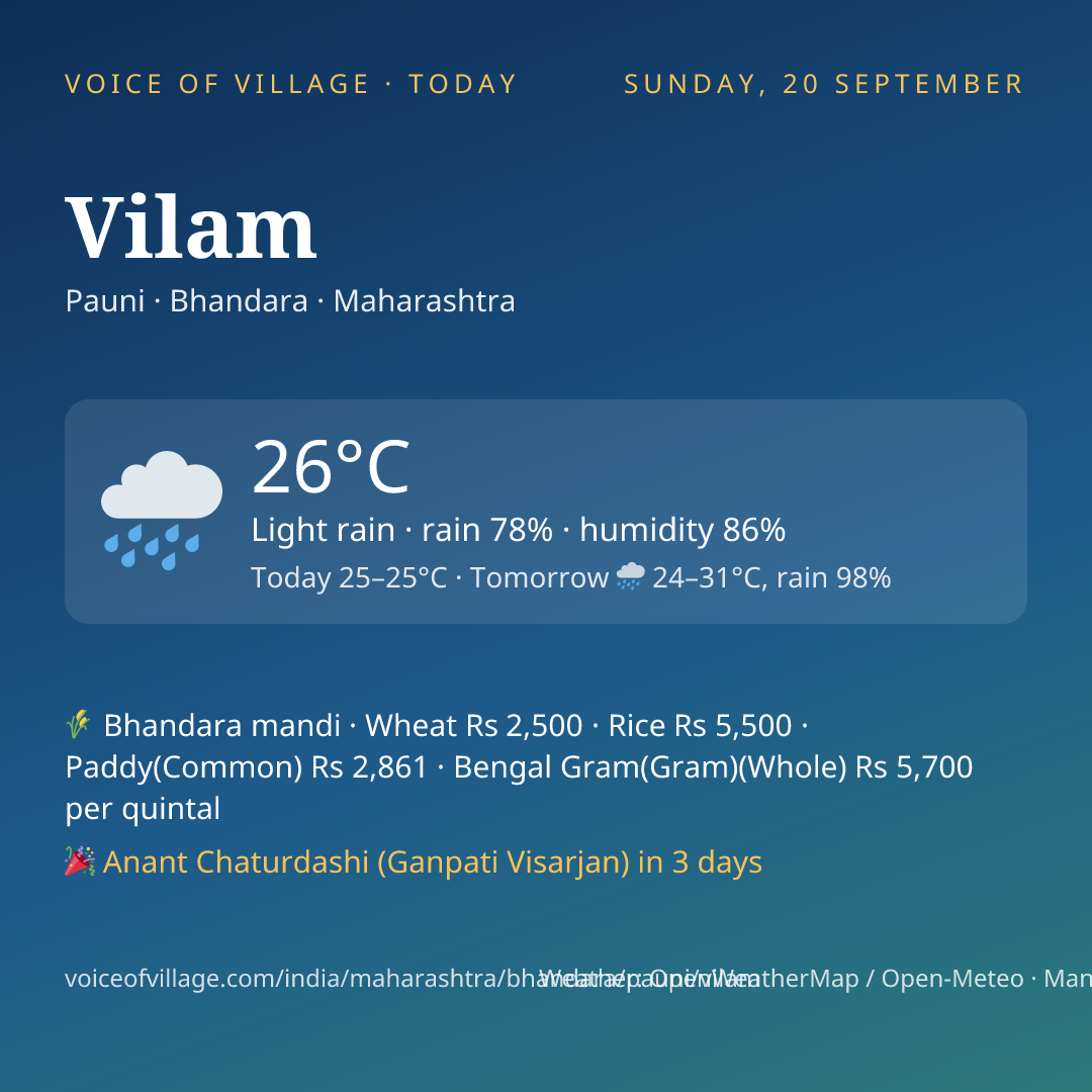Vilam today