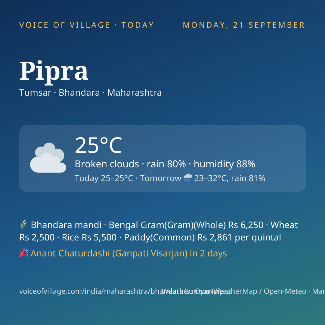 Pipra today