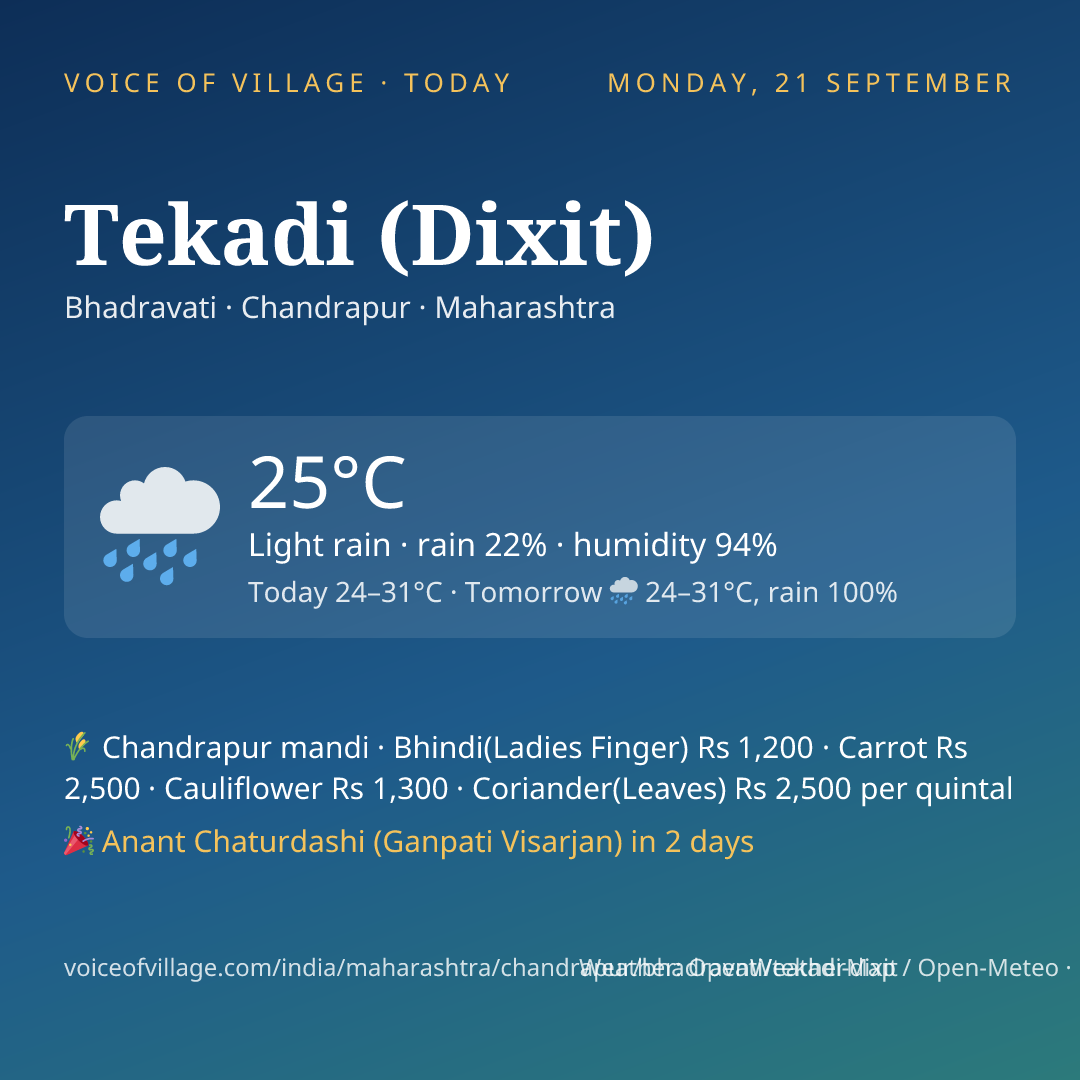 Tekadi (Dixit) today