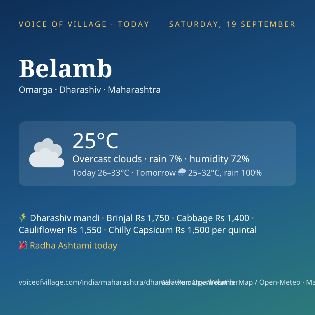 Belamb today