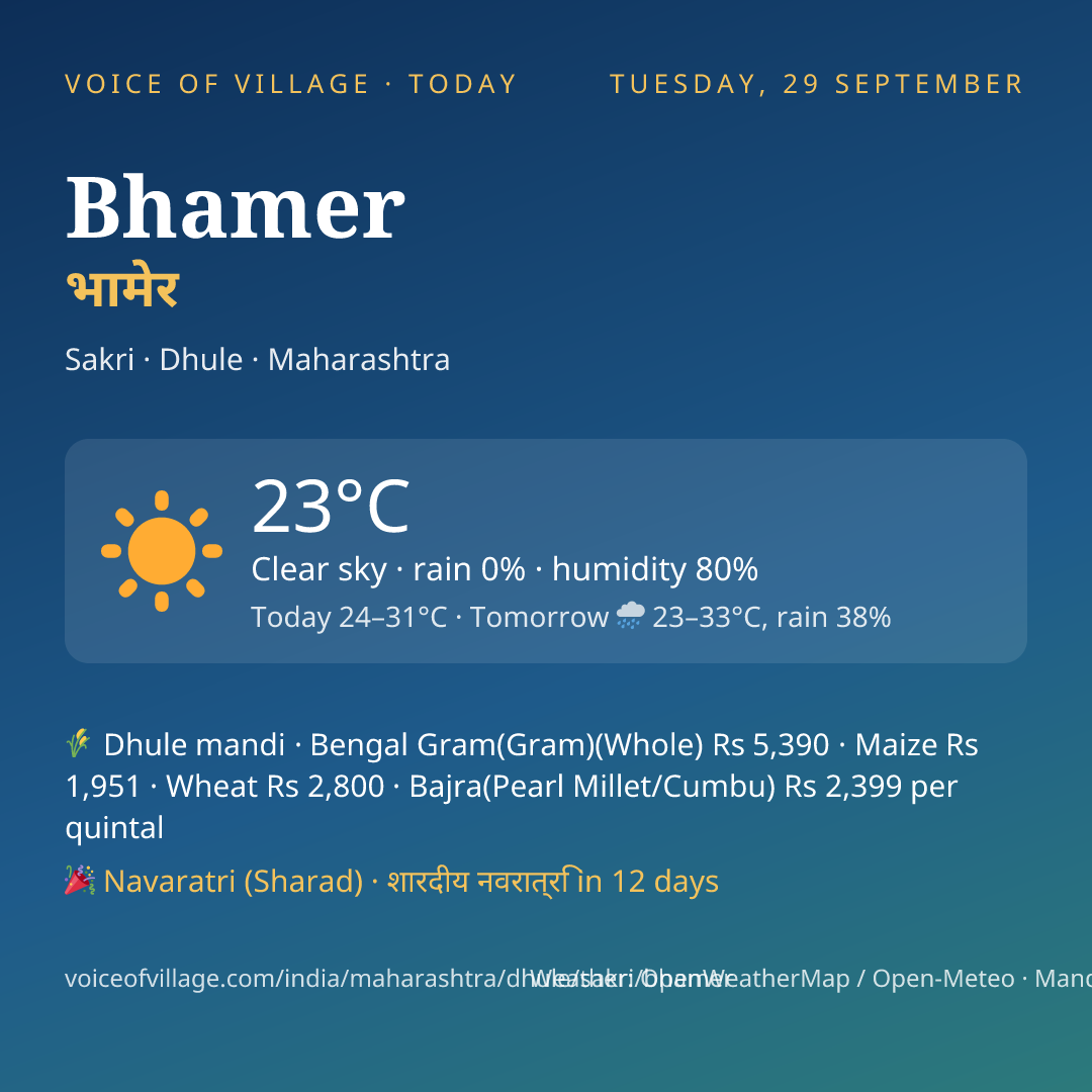 Bhamer today