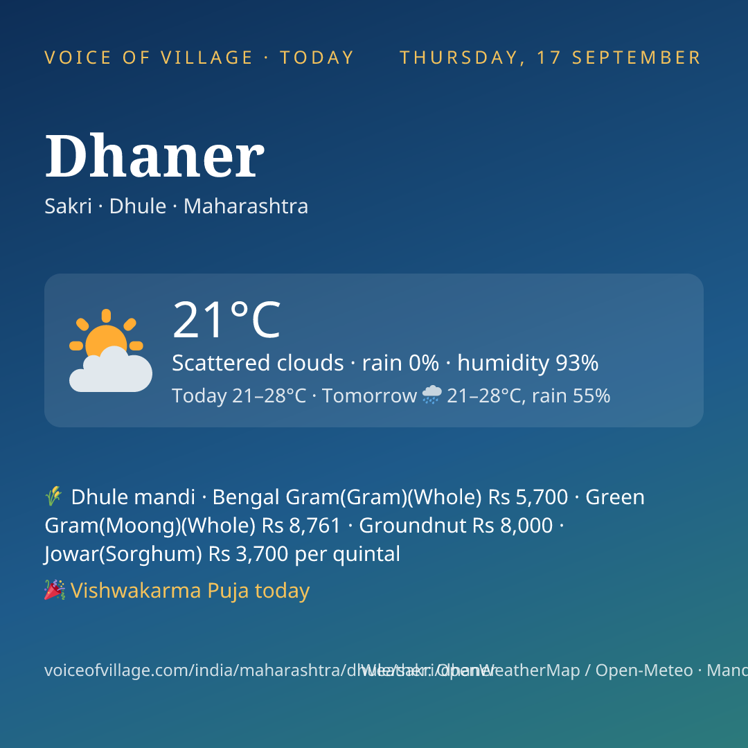 Dhaner today