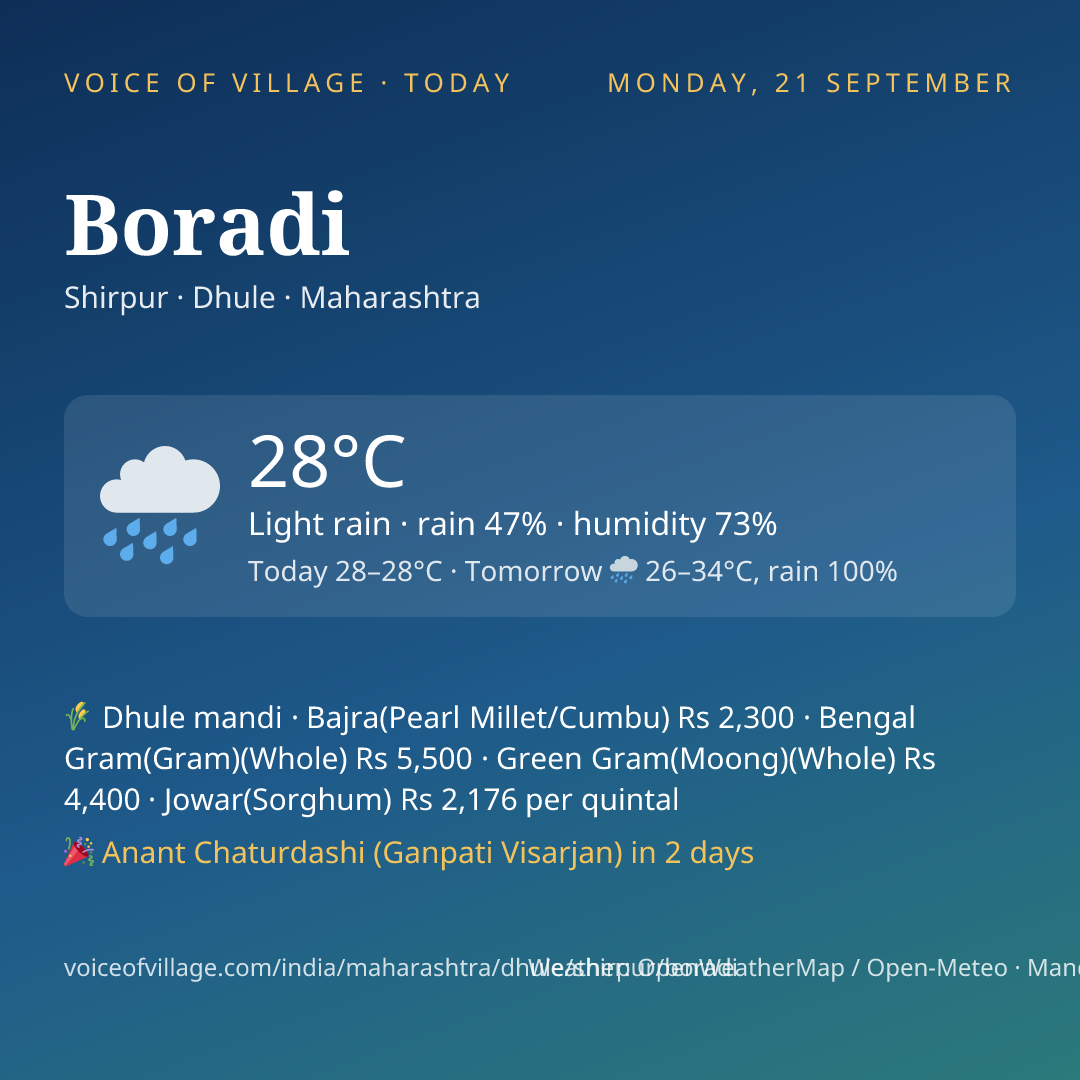 Boradi today