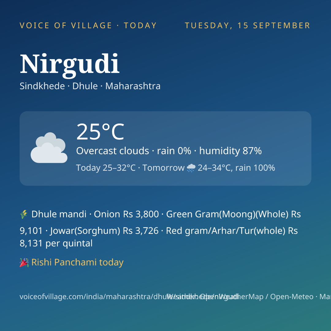 Nirgudi today