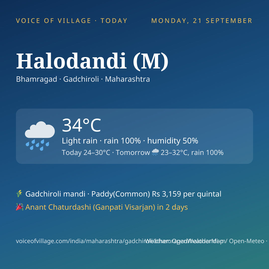 Halodandi (M) today