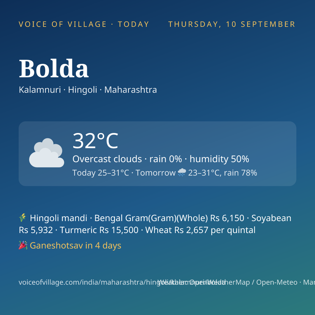 Bolda today