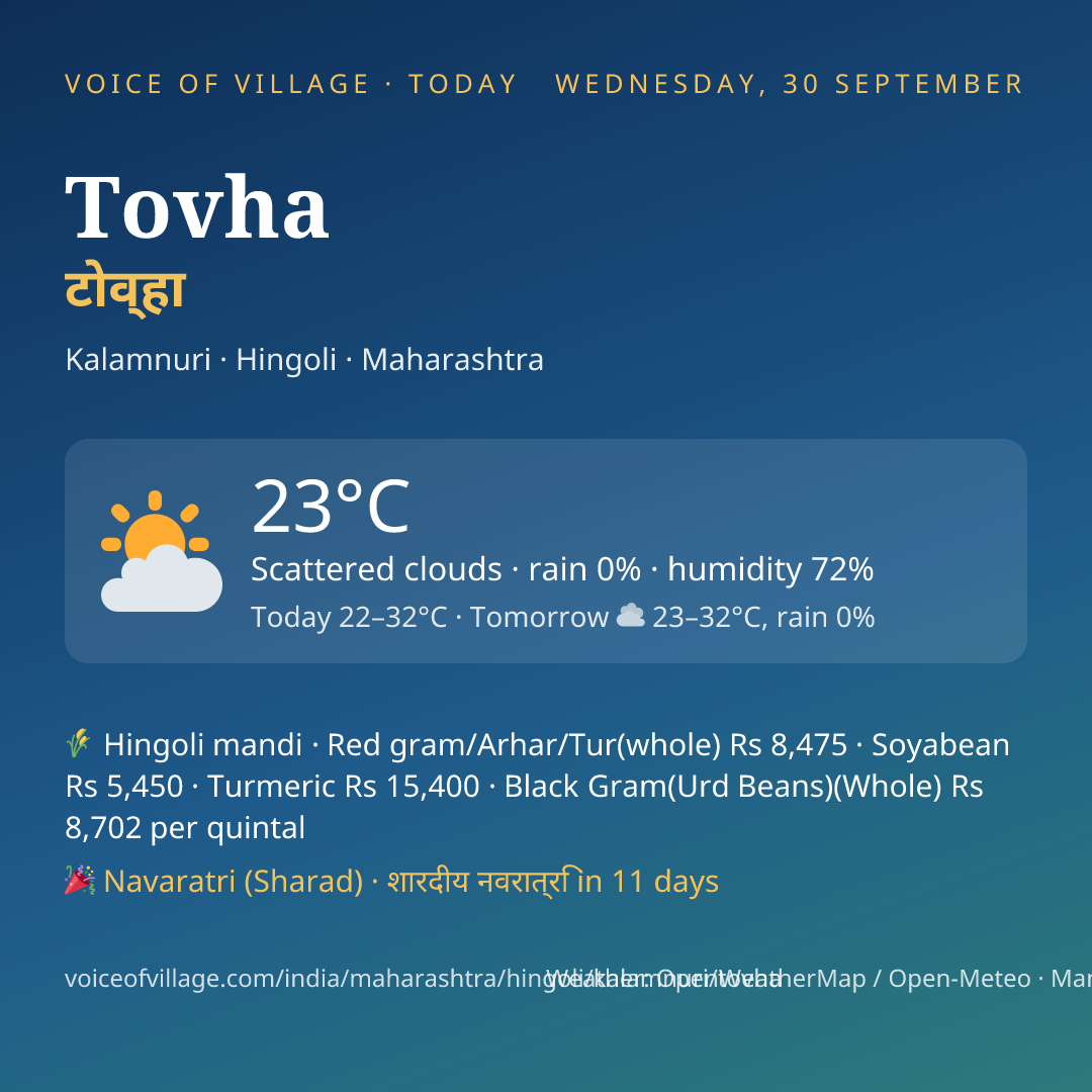 Tovha today