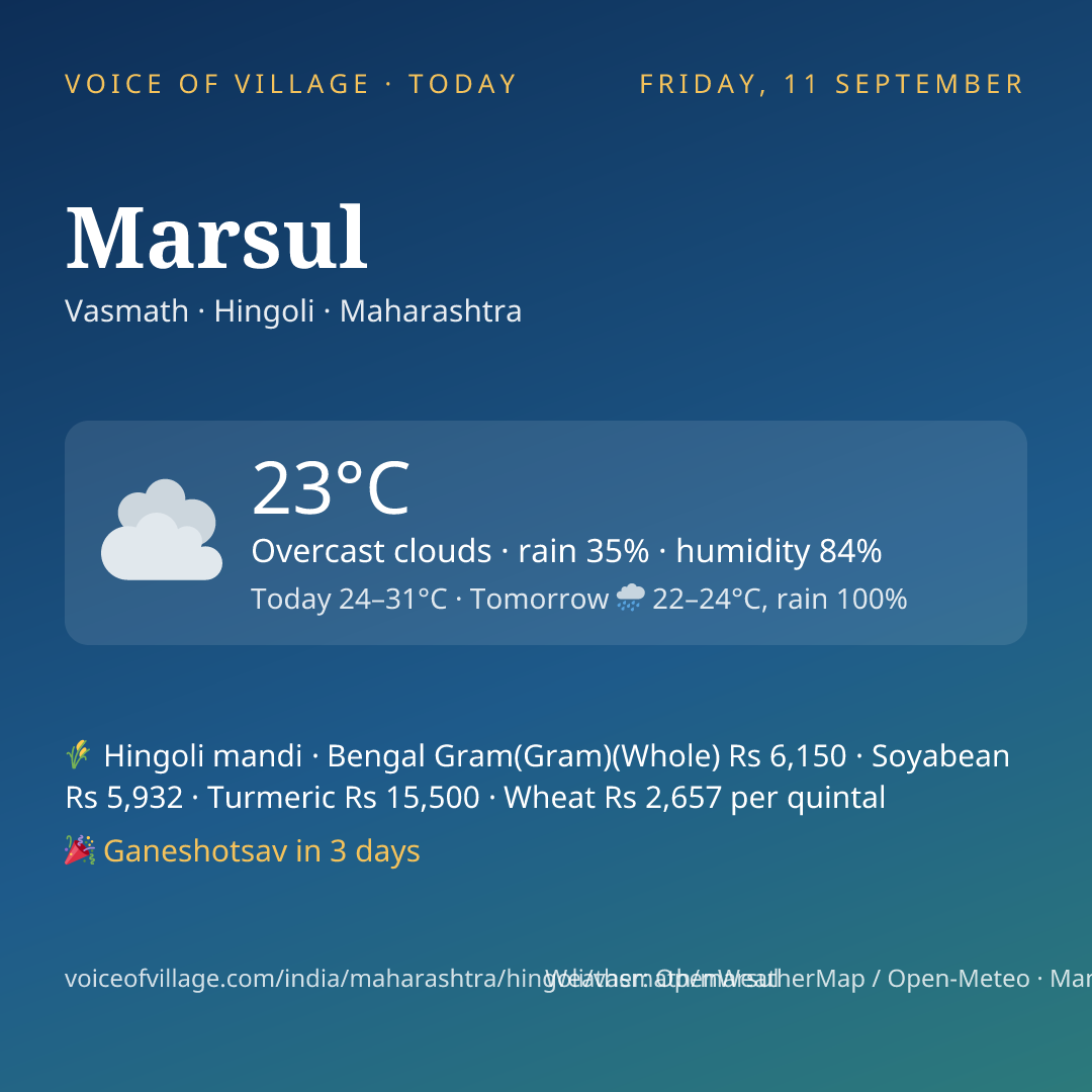 Marsul today