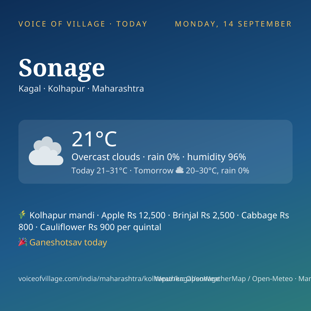 Sonage today