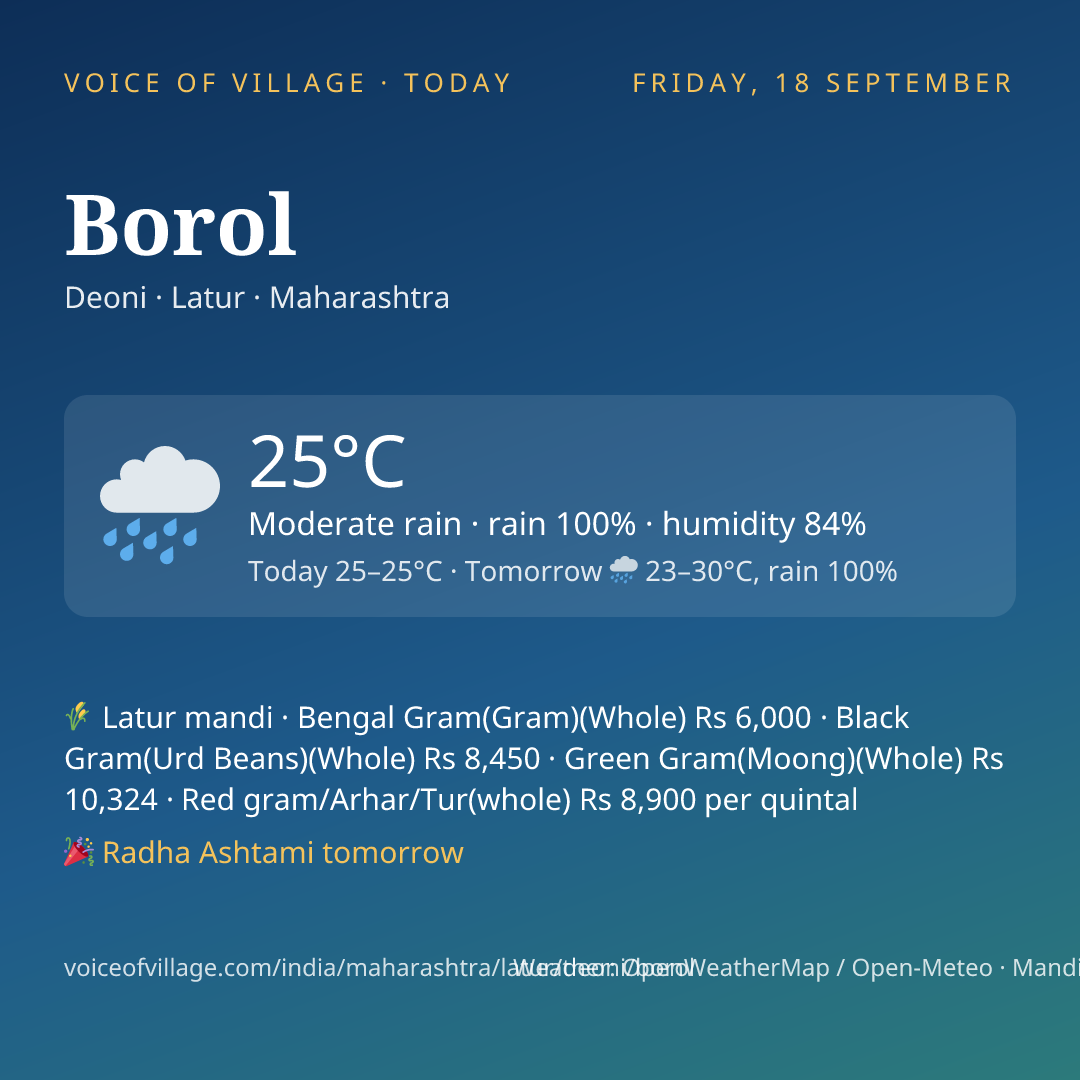 Borol today