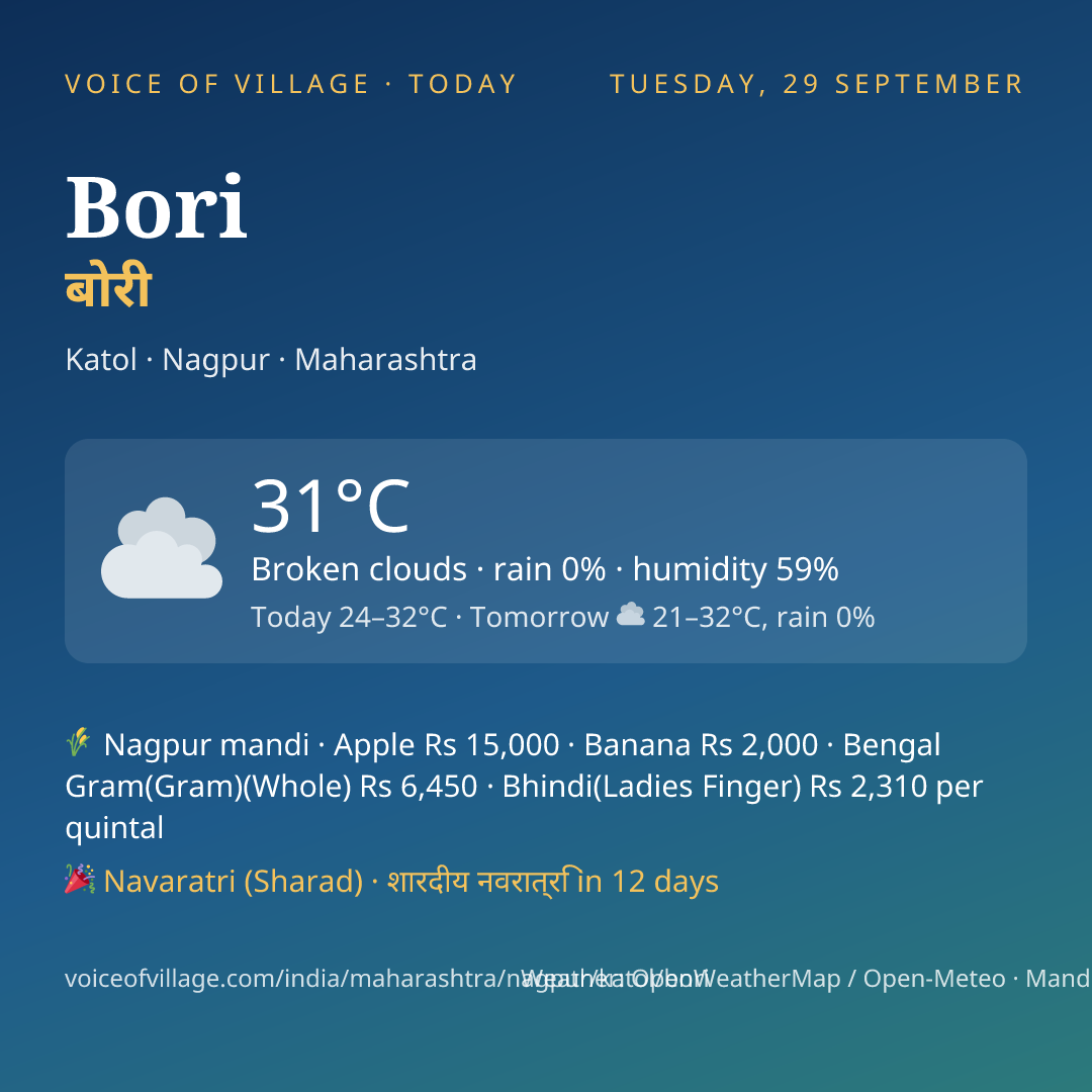 Bori today