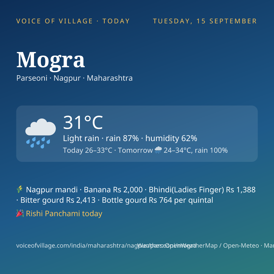 Mogra today