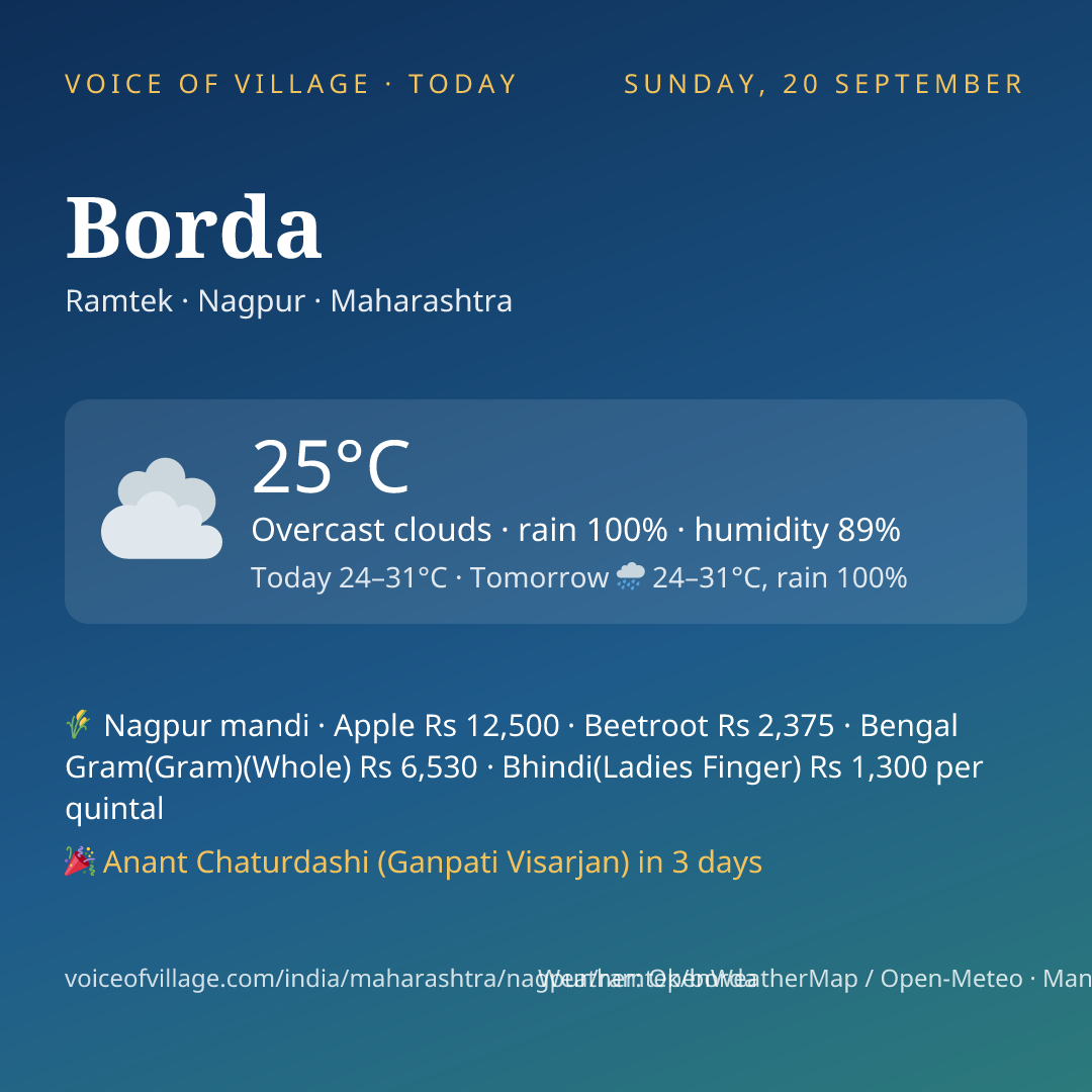 Borda today