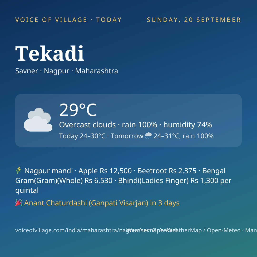 Tekadi today