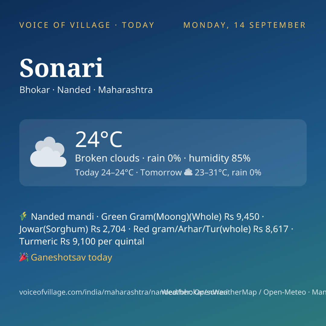 Sonari today
