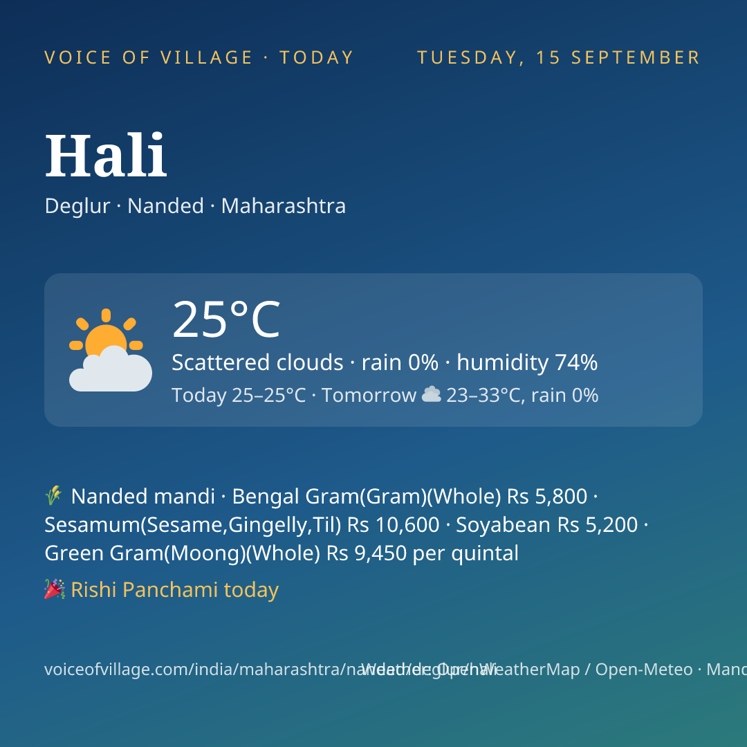 Hali today